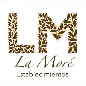 Logo de LA MORE